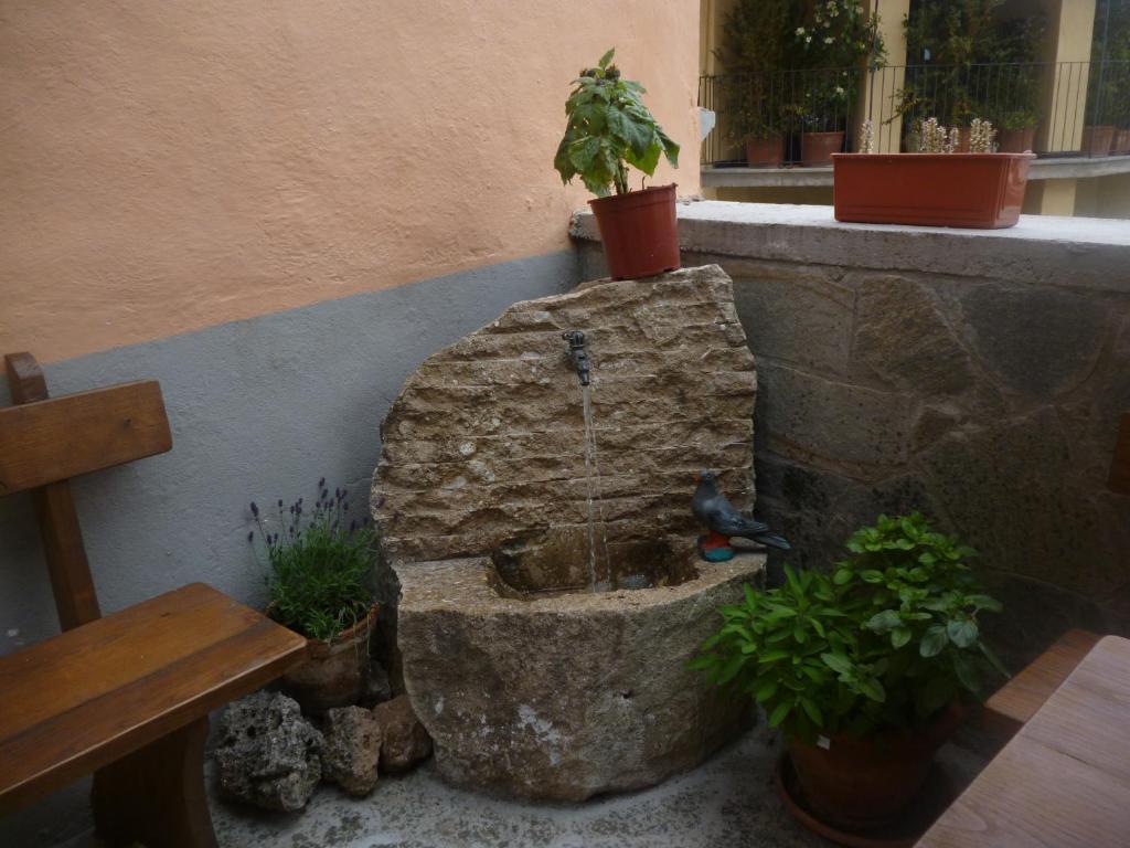 B&B Pisolo E I Persi Pien Roccasparvera ภายนอก รูปภาพ